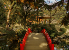 Япония, К пальмам и горячим пескам (разведка)