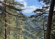 Грузия, Поход по нацпарку Боржоми с проживанием в отелях