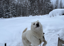 Урал, В самое сердце Северного Урала: на плато Маньпупунер