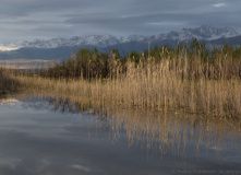 Фотографии 2018 года