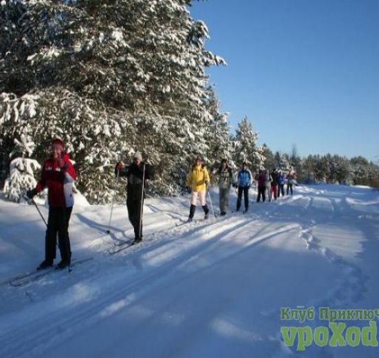 Лыжная прогулка Радищево - Снегири - Подмосковье