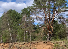 Подмосковье, Поход на выходные на байдарках по реке Тьма с баней на берегу