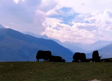 Киргизия, Релакс-тур Иссык-Куль