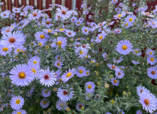 Центральный регион, Из Самары в Ширяево: водная прогулка + лёгкий поход