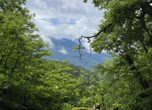 Грузия, Поход по нацпарку Боржоми с проживанием в отелях