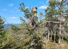 Карелия, Водопады Карелии: река Винча