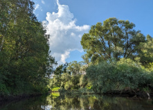 Подмосковье, Однодневный сплав по реке Дубна с прогулкой и обедом на Ферме