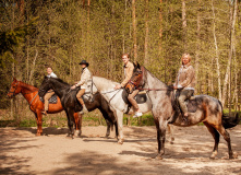 Северо-Запад, Однодневный конный тур с трансфером «Лошадь — человеку крылья»