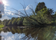 Подмосковье, Однодневный сплав по реке Дубна с прогулкой и обедом на Ферме