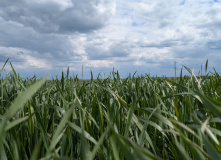 Подмосковье, Пеший поход вдоль берегов Красивой Мечи: Тульская Швейцария