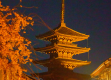 Япония, Япония в объятьях сливы и сакуры: ранее цветение