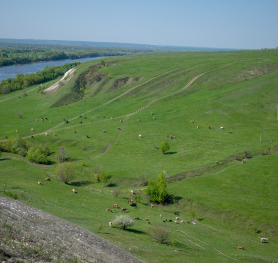 Вело Дивногорье