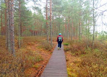 Северо-Запад, Ладожские экотропы