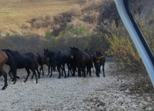 Кавказ, Пещеры и водопады Тызыльского ущелья. Трекинги для родителей с детьми