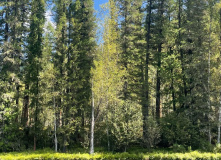 Сибирь, Западный Саян: Большеонские пороги. По рекам Большой Он, Она и Абакан на байдарках