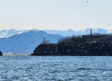 Камчатка, Горнолыжный лагерь на Камчатке: тепло земли и море снега