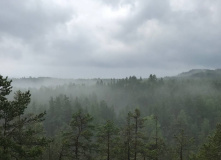 Карелия, Секреты ладожских шхер: Койонсаари и Лауватсаари с детьми