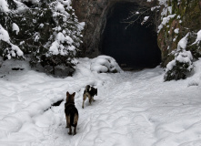 Северо-Запад, Таинственный Выборг: путешествие к гротам.