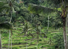 Индонезия, Большой тур по Индонезии: комфорт-тур