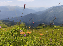 Кавказ, Магишо, дети, кони: по затерянным местам Кавказа