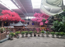 Китай, Китай и острова Владивостока (разведка)