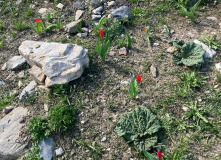 Узбекистан, Лето, весна, зима и снова лето: пеший поход по весенним горам Западного Тянь-Шаня