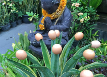 Индонезия, Большой тур по Индонезии: комфорт-тур