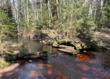 Северо-Запад, Первые шаги: пеший степенной поход 1 ст.с (Разведка)