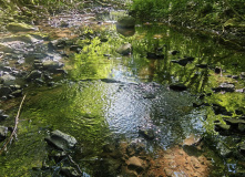 Подмосковье, Золотьковский водопад и Ратовский овраг