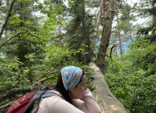 Грузия, Поход по нацпарку Боржоми с проживанием в отелях