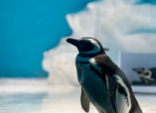 Китай, Живописная палитра Китая: из глубинки провинции к золотым пляжам (разведка)