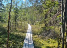 Кольский, Русская Лапландия: Тропа викинга и Лапландский заповедник (разведка)