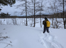 Подмосковье, Однодневный пеший поход Английский клуб "Прощай, зима!"