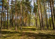 Подмосковье, Пеший поход “Лёгкость бытия” (РАЗВЕДКА)