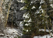 Подмосковье, Однодневный пеший поход в усадьбу Мураново