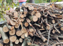 Подмосковье, Однодневный семейный поход " Юные Спецагенты. Школа шпионажа"