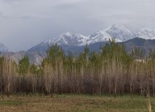 Фотографии 2018 года