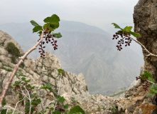 Узбекистан, Лето, весна, зима и снова лето: пеший поход по весенним горам Западного Тянь-Шаня