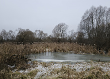 Подмосковье, Родина Маршала Жукова и озеро Огублянка