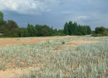 Северо-Запад, Форт "Риф" — Балтийская коса Финского залива (Кронштадт)