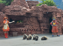 Китай, Где рождались легенды Поднебесной: Терракотовая армия, Лоян, Шаолинь (разведка)