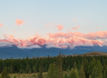 Алтай, Горный лагерь в Актру (проживание в домиках)