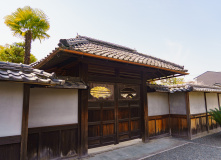 Япония, Япония в объятьях сливы и сакуры: ранее цветение