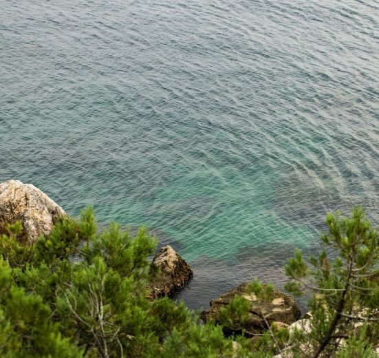 Горный лагерь в Крыму: Байдарская долина
