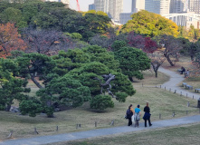 Япония, Осень у подножия Фудзиямы
