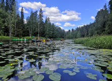 Северо-Запад, Оредеж — прогулка на байдарках (1 день)