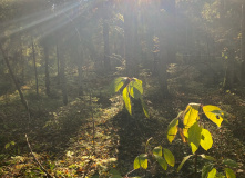 Северо-Запад, Однодневный поход вдоль Кавголовского озера с посещением органного концерта в Токсово