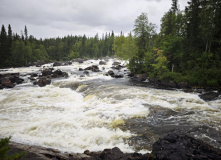 Карелия, У самого Полярного Круга: в нацпарк Паанаярви с детьми