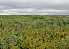 Урал, Полярный Урал. Сплав по рекам Нияю, Большая Уса и Уса