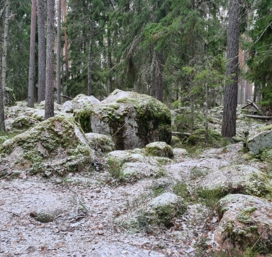 Северо-Запад, Старая Финляндия